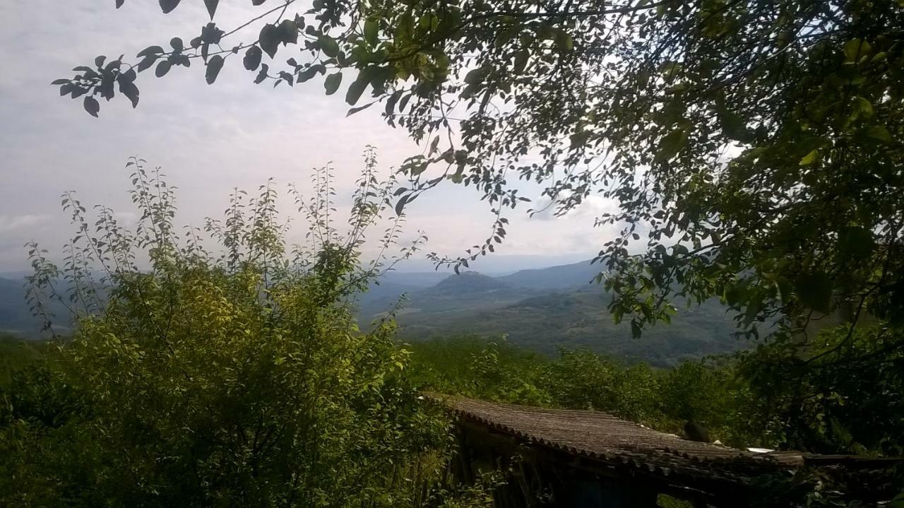 Holiday Home Vižinada Dış mekan fotoğraf