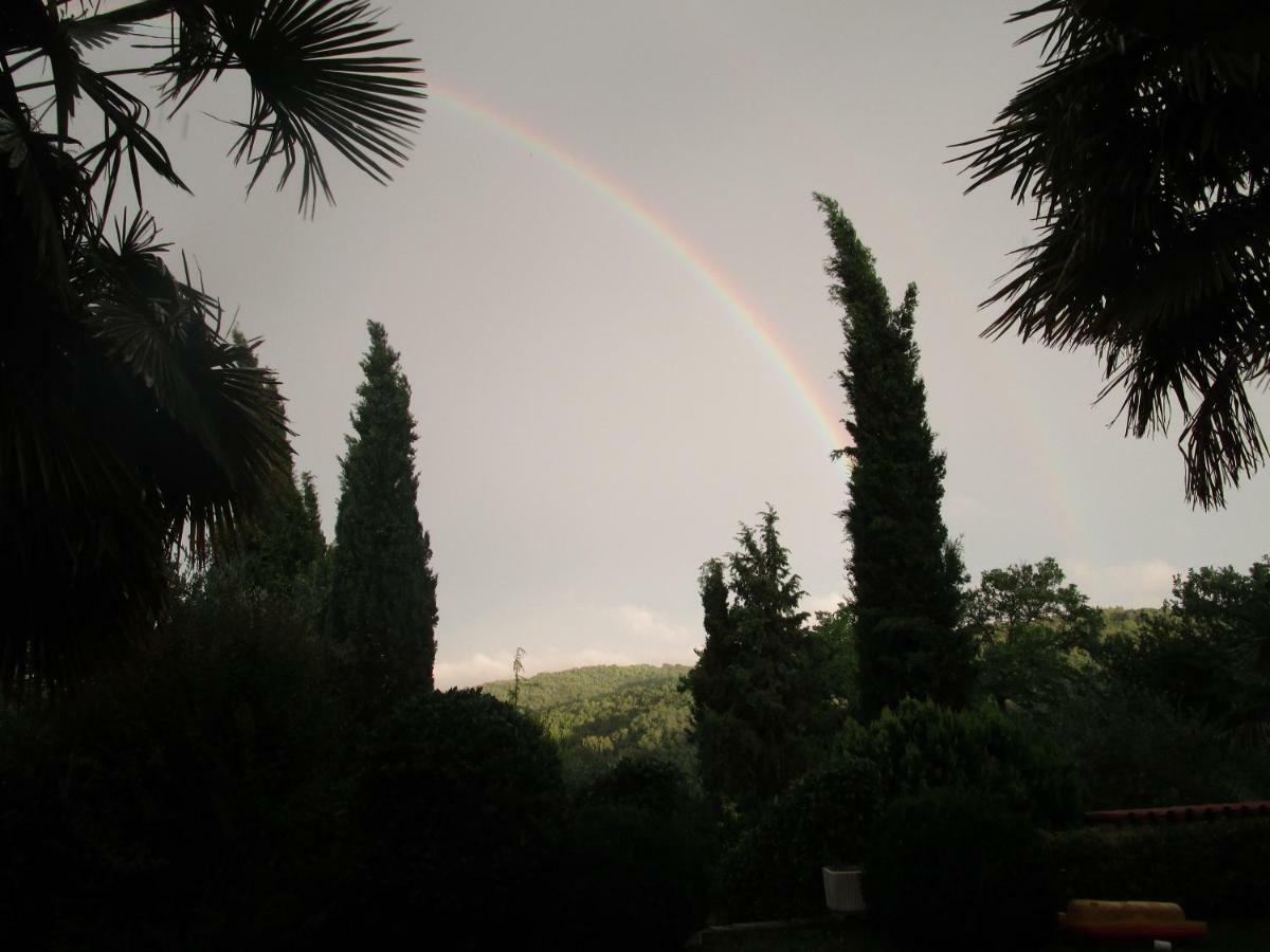Holiday Home Vižinada Dış mekan fotoğraf